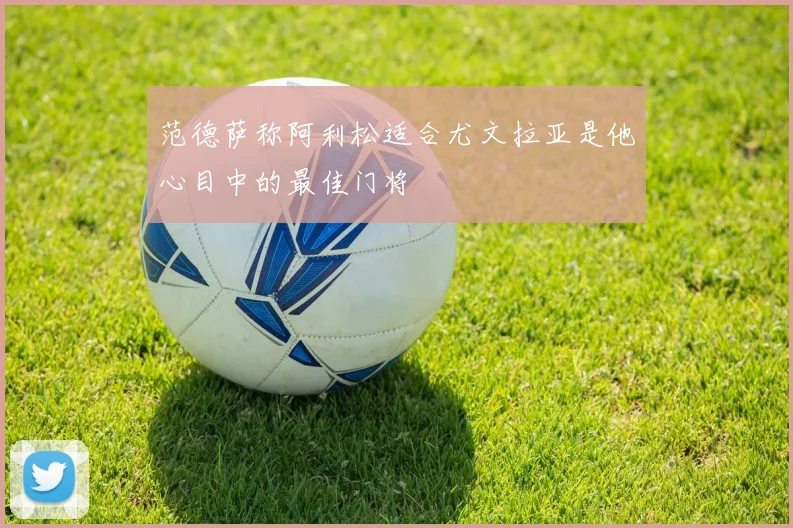 范德萨称阿利松适合尤文拉亚是他心目中的最佳门将
